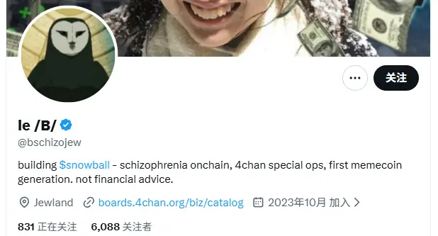 स्नोबॉल टीम की जानकारी